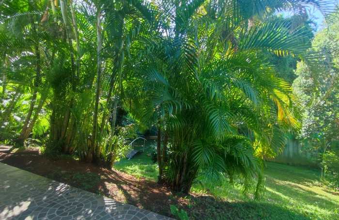 Charmant T3 meublé dans un cadre verdoyant et calme