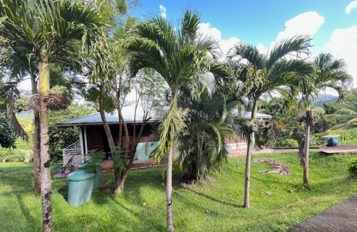 Location Maison 97215