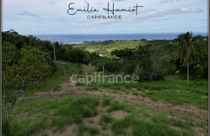 Vente Terrain 1060m&sup2; Le Carbet