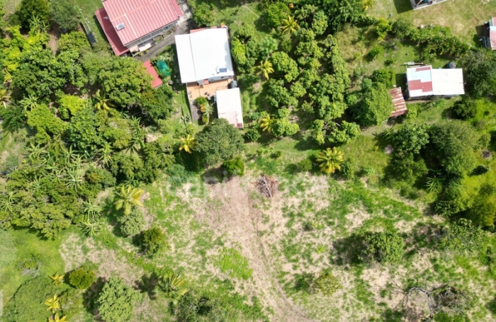 Vente Terrain 1060m&sup2; Le Carbet