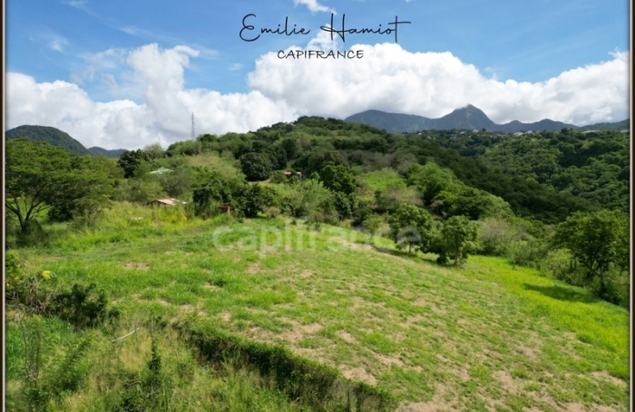 Vente Terrain 97221