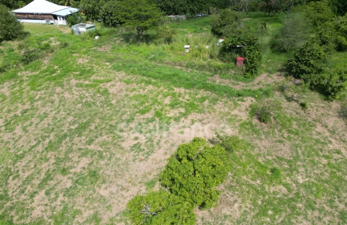 Vente Terrain 1919m&sup2; Le Carbet