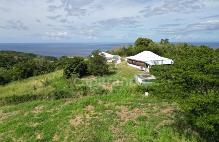 Vente Terrain 1919m&sup2; Le Carbet