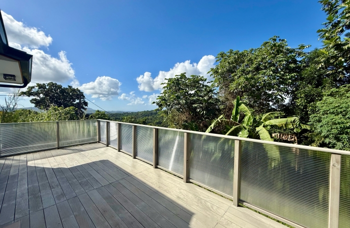 Jolie maison T5 rénovée - SAINTE-LUCE