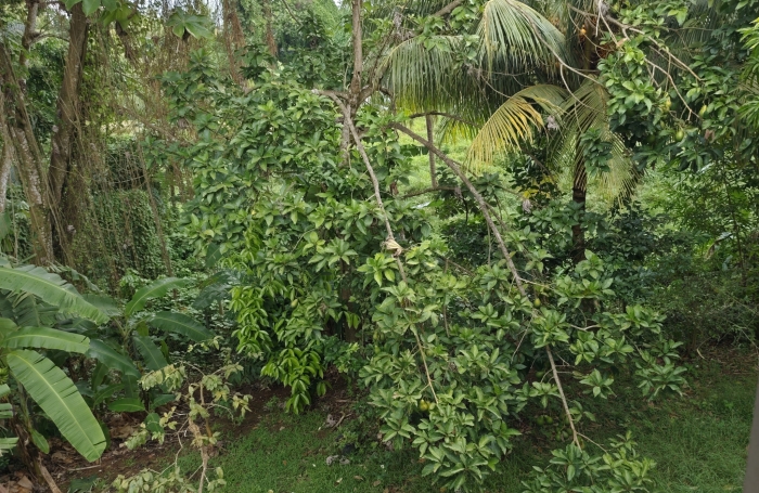 Ensemble de 3 logements &agrave; achever
