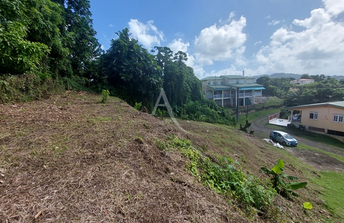 Vente Terrain 646m&sup2; Le Lamentin