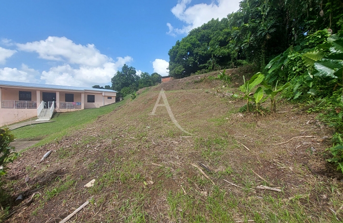Vente Terrain 646m&sup2; Le Lamentin