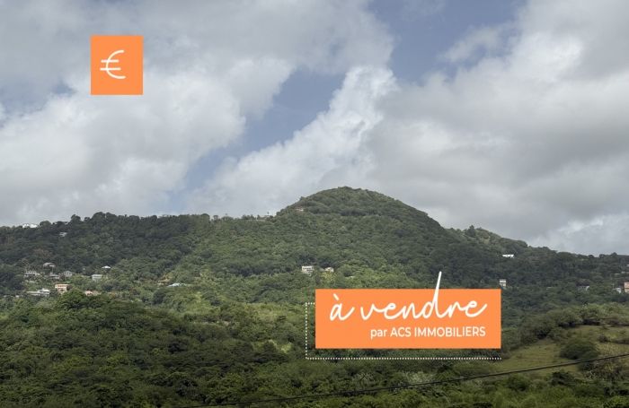 Vente Terrain 97290