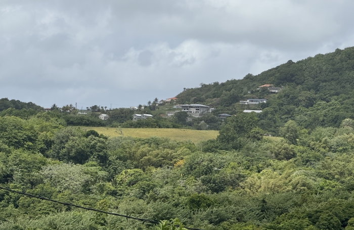 Terrain - 3361 m2 - LE MARIN