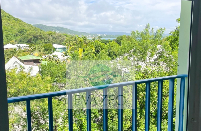 Studio 25m2 meubl&eacute; - vue mer - LE DIAMANT