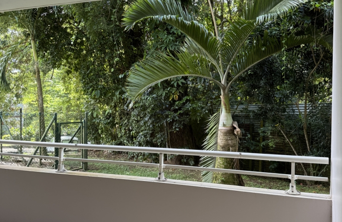 Grand studio &agrave; acheter &agrave; Fort-De-France