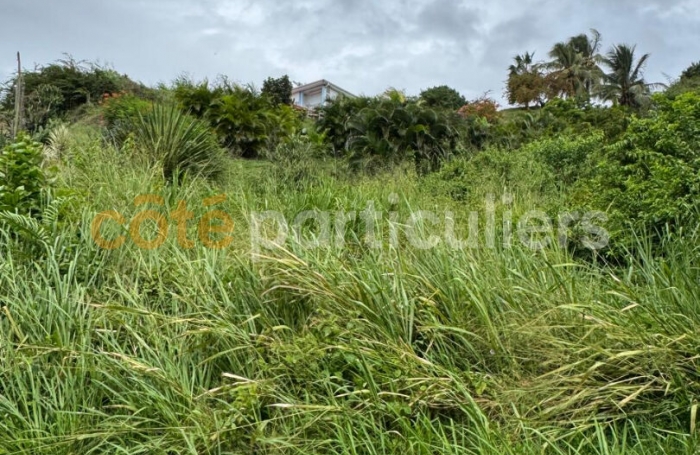 Vente Terrain 1735m&sup2; Sainte Anne