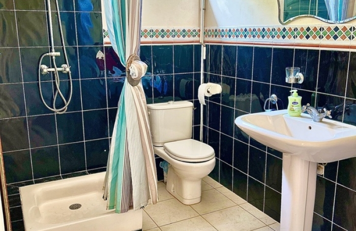 Vente Maison 244m&sup2; 7 pièces Le Robert