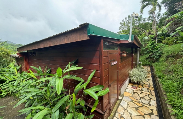 Ensemble 4 habitations + 4 piscines - Terrain 4845m2 - RIVIERE PILOTE