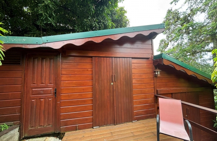 Ensemble 4 habitations + 4 piscines - Terrain 4845m2 - RIVIERE PILOTE