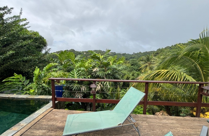 Ensemble 4 habitations + 4 piscines - Terrain 4845m2 - RIVIERE PILOTE