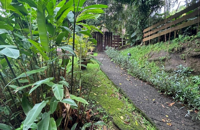 Ensemble 4 habitations + 4 piscines - Terrain 4845m2 - RIVIERE PILOTE