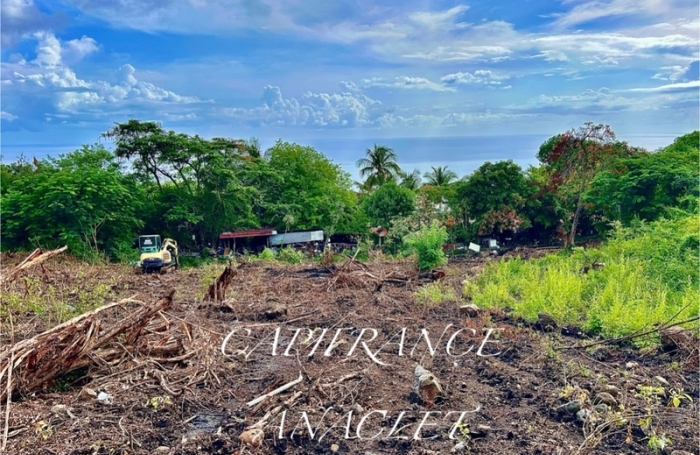 Vente Terrain 1606m&sup2; Case-Pilote