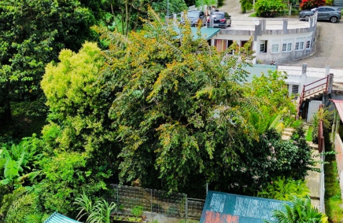 Vente Maison 530m&sup2; 23 pi&egrave;ces Gros Morne