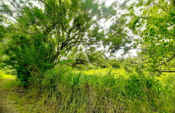 Vente Terrain 922m&sup2; Sainte Luce