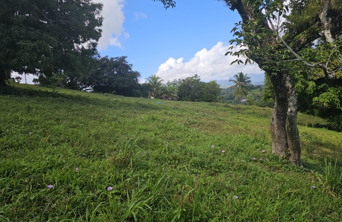 Terrain &agrave; b&acirc;tir de 1353 m2 dont 751 m2 constructibles - LE ROBERT