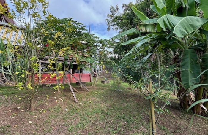 Charmante maison F3 vendue meubl&eacute;e et r&eacute;nov&eacute;e   PETIT-BOURG