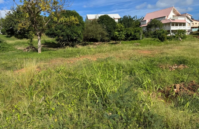 Terrain &agrave; bartir - Le Robert
