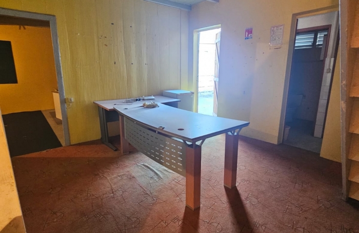 Rivi&egrave;re-Sal&eacute;e   Bien professionnel &agrave; fort potentiel   210 m2 + terrasses