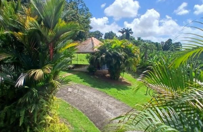 Vente Maison 260m&sup2; 7 pièces Ducos