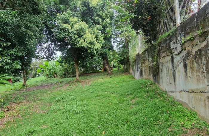 Magnifique terrain environ 900m2 quartier Acajou au LAMENTIN