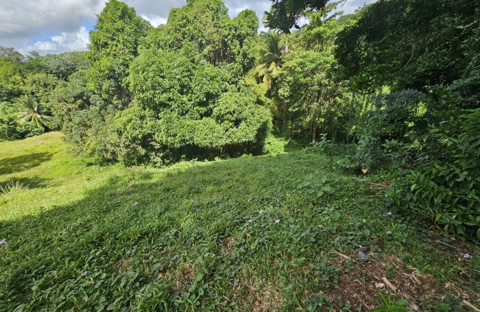 Terrain &agrave; b&acirc;tir de 1353 m2 dont 751 m2 constructibles - LE ROBERT