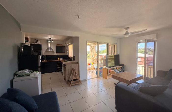 Appt T2 vue d&eacute;gag&eacute;e avec garage