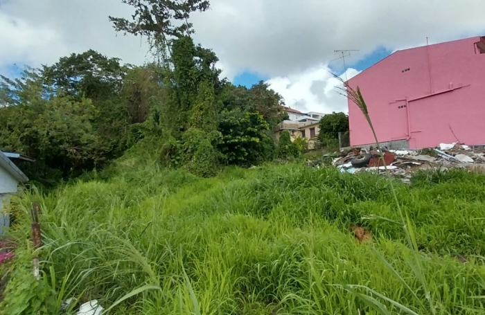 Terrain de 2008 m2 proche commodit&eacute;s - FORT-DE-FRANCE