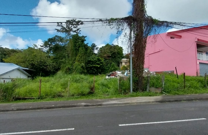 Terrain de 2008 m2 proche commodit&eacute;s - FORT-DE-FRANCE