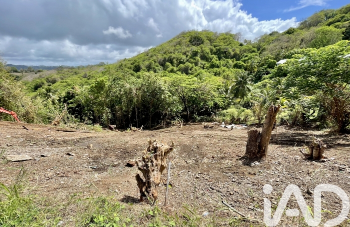 Vente Terrain 2597m&sup2; La Trinit&eacute;