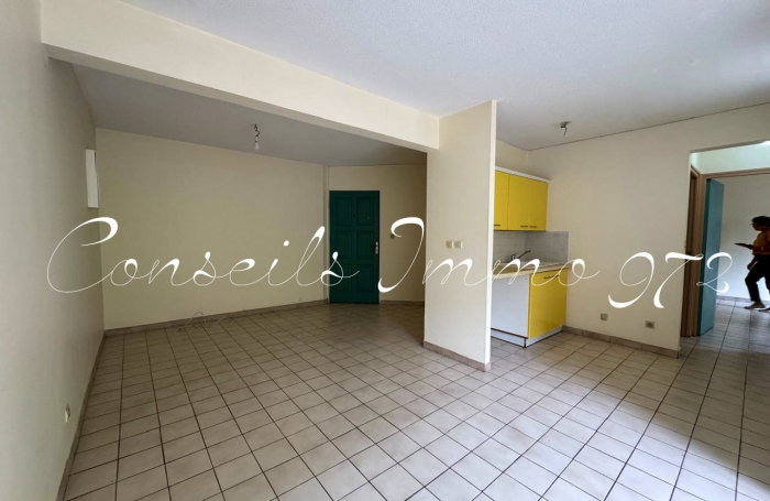Location Appartement 97233