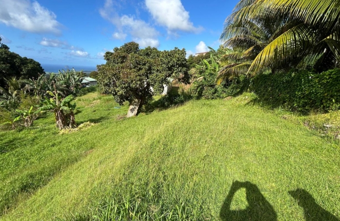 Vente Terrain 942m&sup2; Sainte Luce