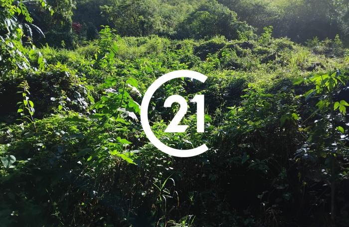 Vente Terrain 3031m&sup2; Case-Pilote