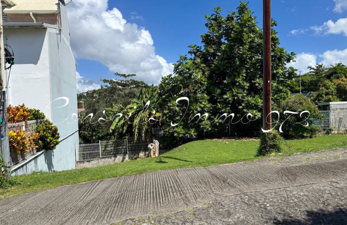 Terrain &agrave; Sch&oelig;lcher - Petit par la taille, grand par le potentiel &agrave; Plateau Fofo