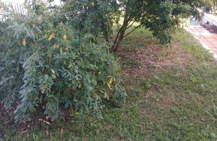 Vente Maison 206m&sup2; 4 pièces Basse-Pointe