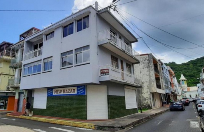 Vente Immeuble 301.04m&sup2; 8 pièces Rivi&egrave;re Pilote