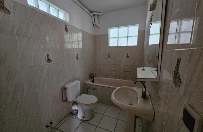 Immeuble de deux appartements + un espace commercial, bourg - SAINTE-LUCE