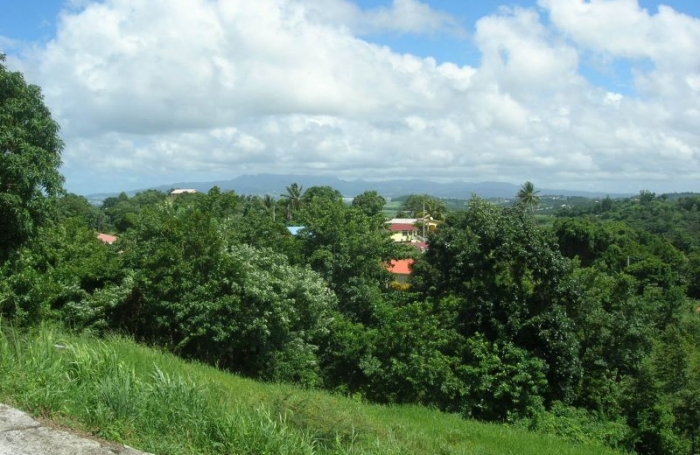 Location Maison 100m&sup2; 4 pi&egrave;ces Rivi&egrave;re Sal&eacute;e