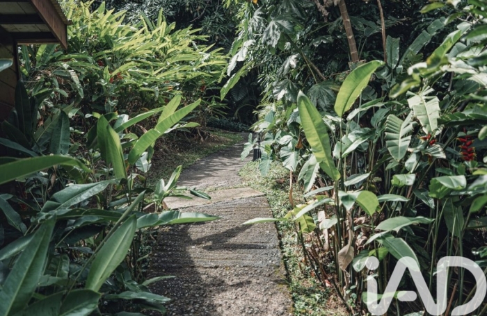 Vente Maison 200m&sup2; 6 pièces Rivi&egrave;re Pilote