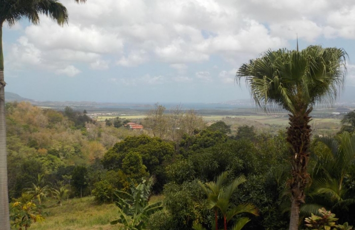 Location Maison 250m&sup2; 5 pièces Rivi&egrave;re Sal&eacute;e