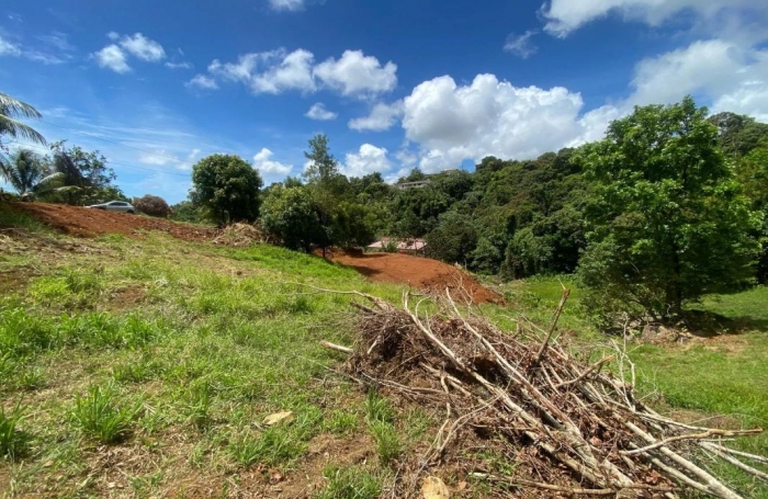 Vente Terrain 815m&sup2; Le Vauclin