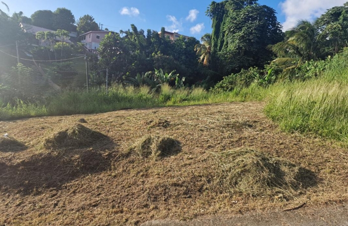 Vente Terrain 517m&sup2; Schoelcher