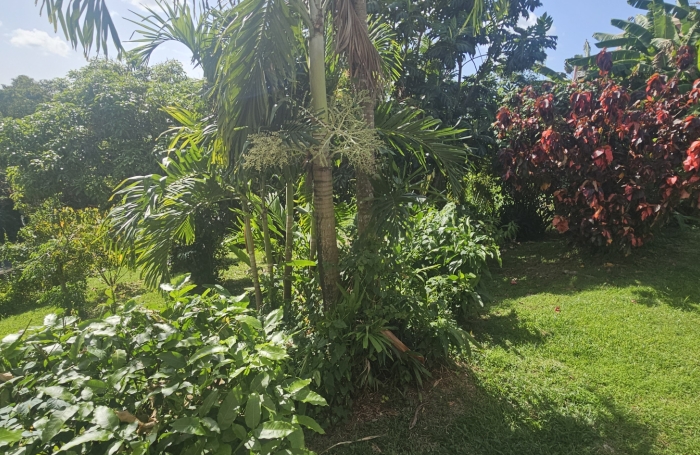 Jolie maison familiale avec grande terrasse et jardin