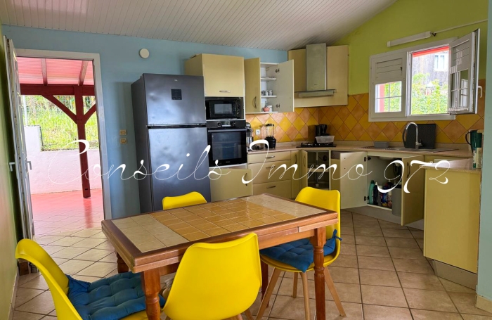 T4 meubl&eacute; vue mer horizon, terrasses & acc&egrave;s privatif - Morne Pitault