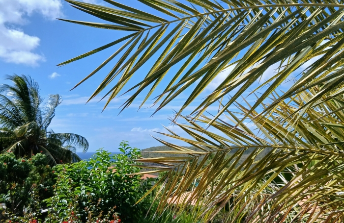 A d&eacute;couvrir cette tr&egrave;s jolie villa aux Anses d'Arlet